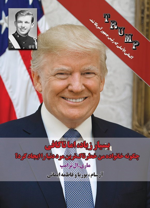 تصویر جلد کتاب بسیار زیاد، اما ناکافی