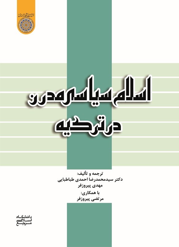تصویر جلد کتاب اسلام سیاسی مدرن در ترکیه