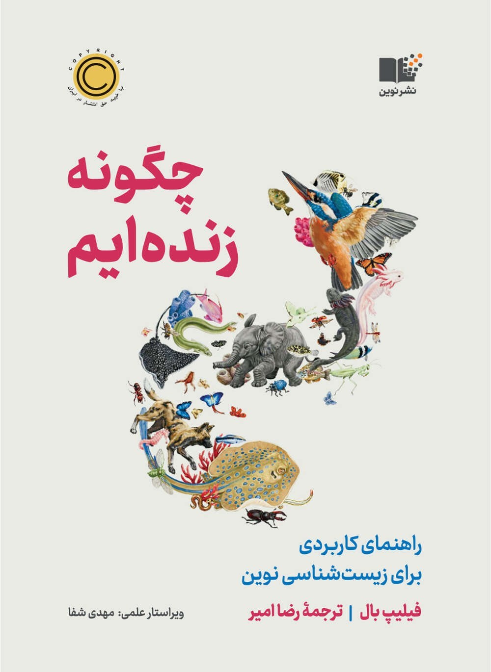 تصویر جلد کتاب چگونه زنده ایم