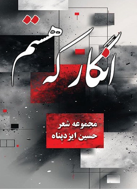 تصویر جلد کتاب انگار که هستم