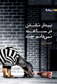 کتاب بیدار نشدن در ساعت نمی‌دانم چند اثر احمد  آرام