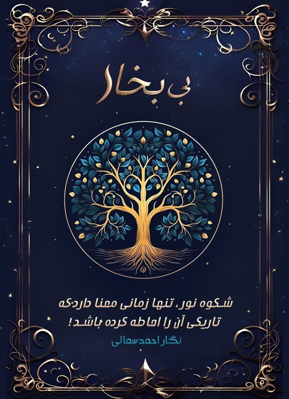 تصویر جلد کتاب بی بخار