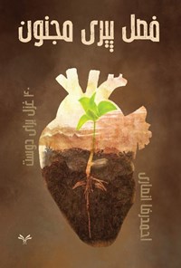 تصویر جلد کتاب فصل پیری مجنون