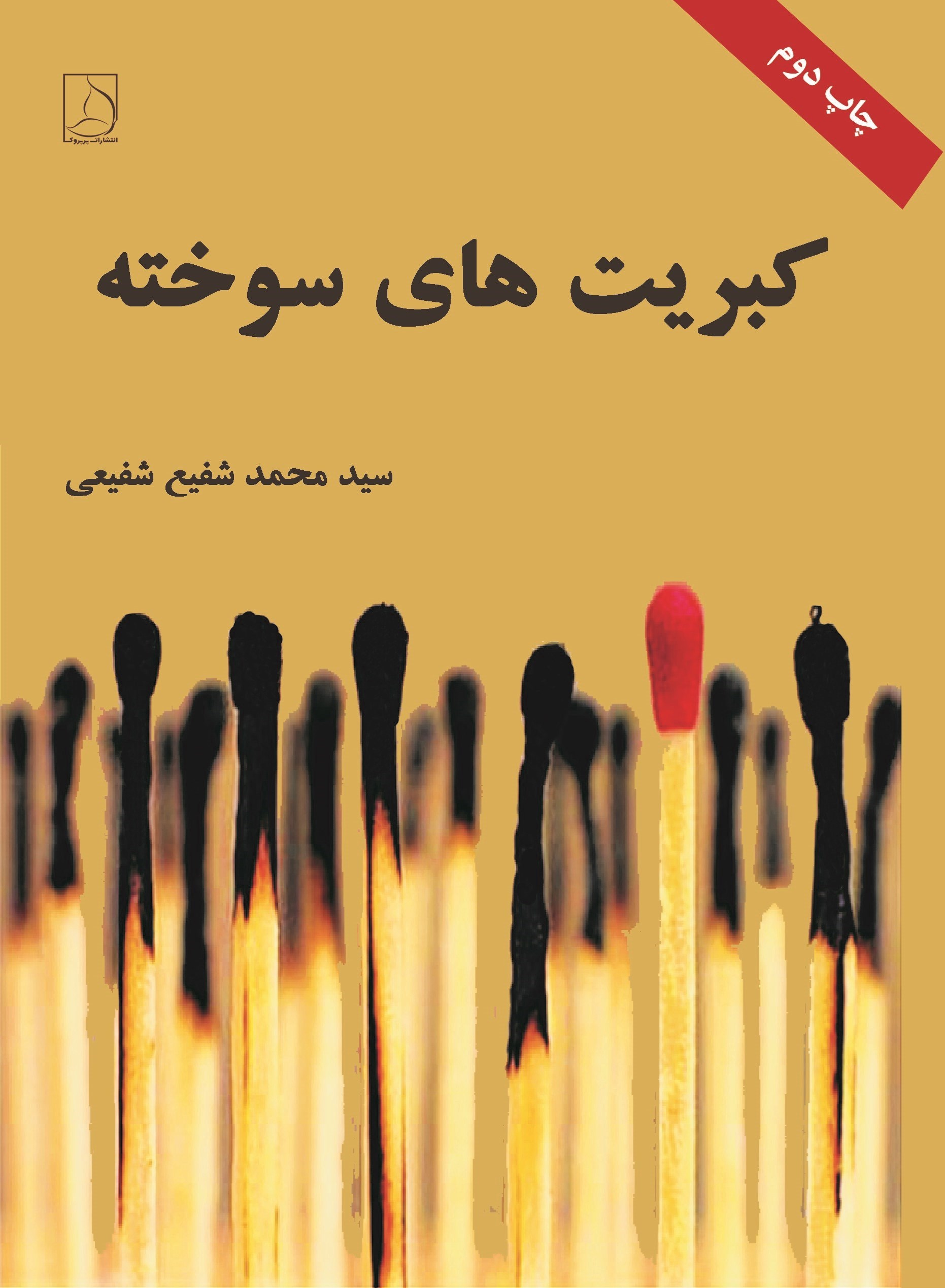 تصویر جلد کتاب کبریت های سوخته