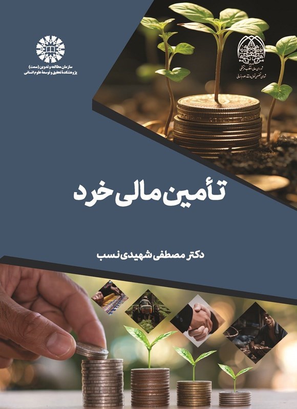 تصویر جلد کتاب تامین مالی خرد