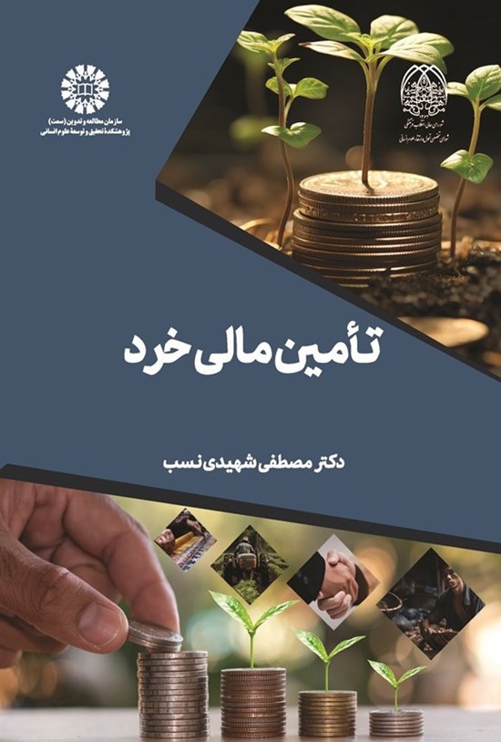 تصویر جلد کتاب تامین مالی خرد