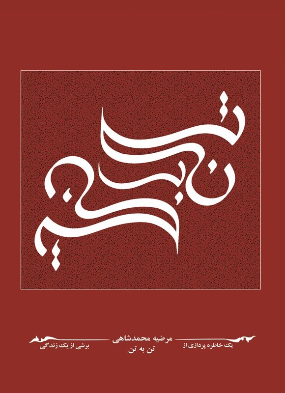 تصویر جلد کتاب تن به تن
