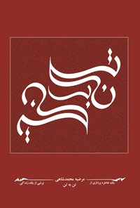 تصویر جلد کتاب تن به تن