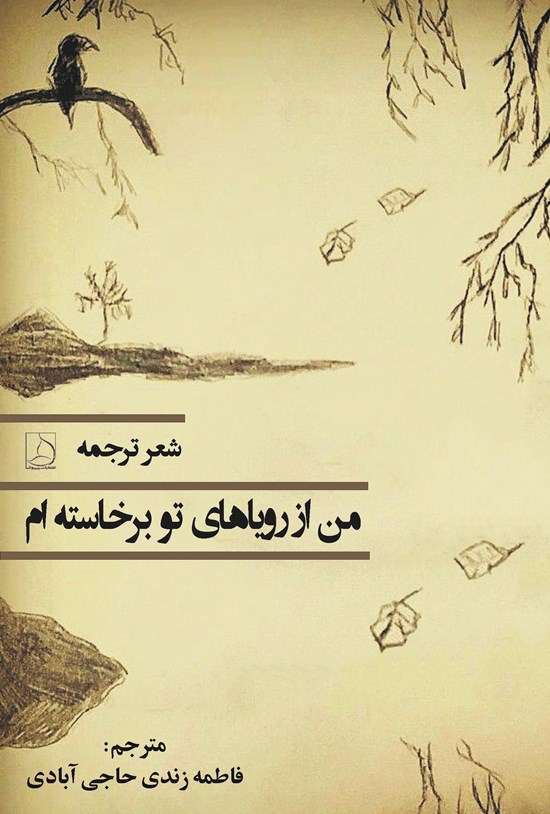 تصویر جلد کتاب من از رویاهای تو برخاسته ام