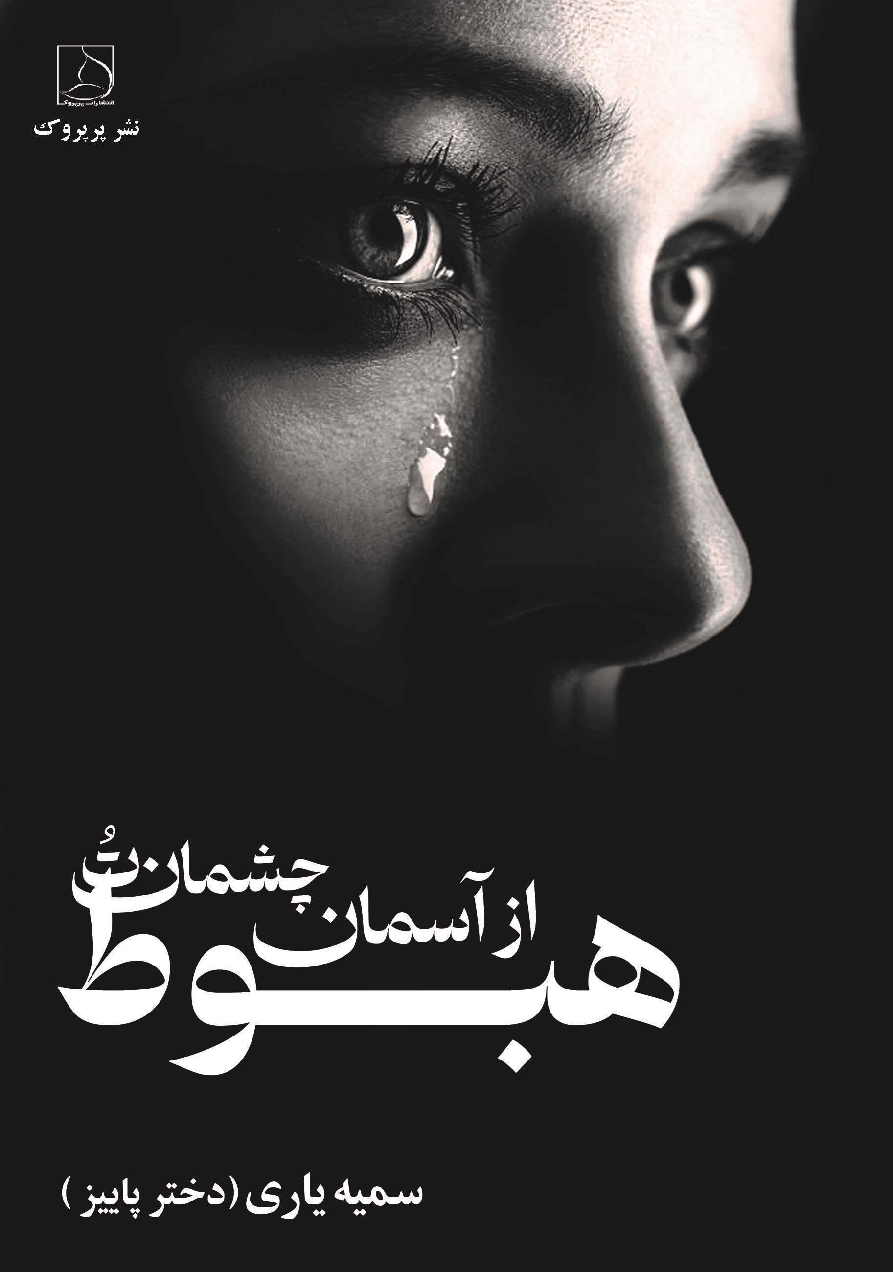 تصویر جلد کتاب هبوط از آسمان چشمان تو
