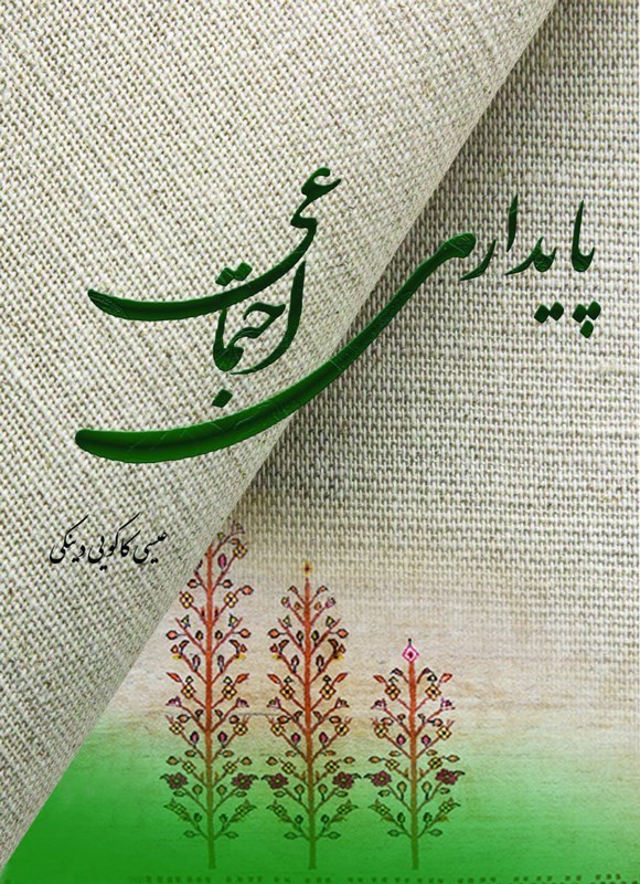 تصویر جلد کتاب پایداری اجتماعی