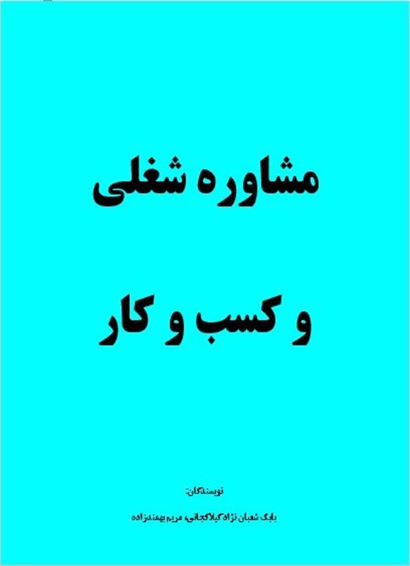 تصویر جلد کتاب مشاوره شغلی و کسب و کار