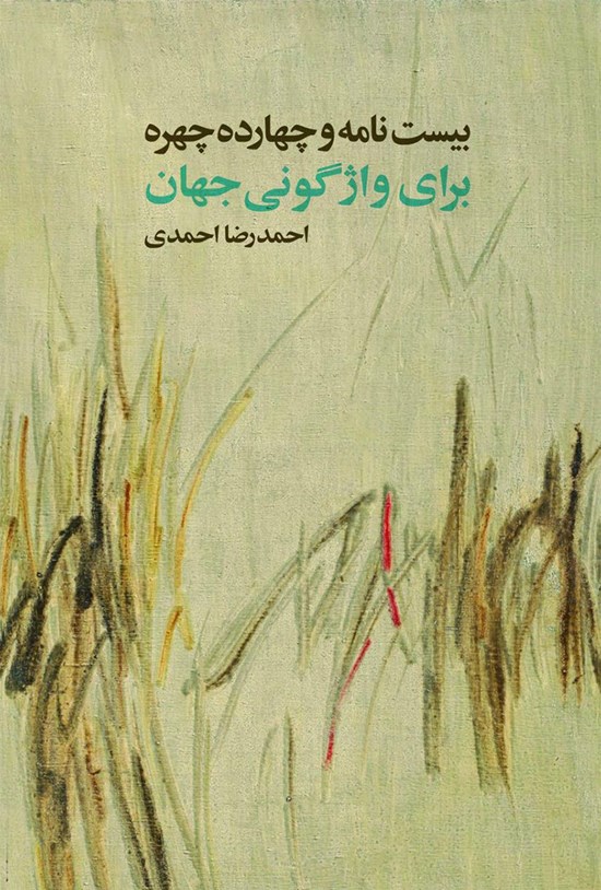 تصویر جلد کتاب بیست نامه و چهارده چهره برای واژگونی جهان
