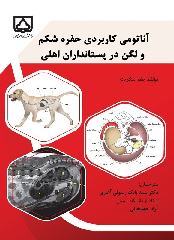 تصویر جلد کتاب آناتومی کاربردی حفره شکم و لگن در پستانداران اهلی