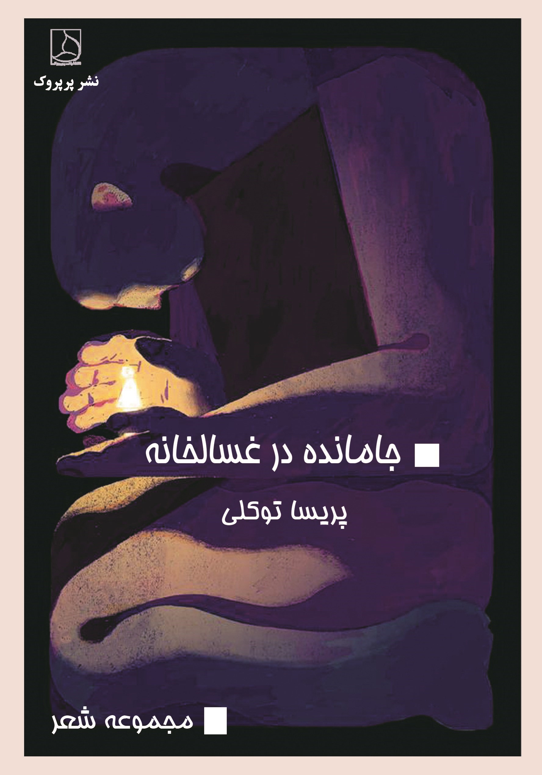 تصویر جلد کتاب جامانده در غسالخانه