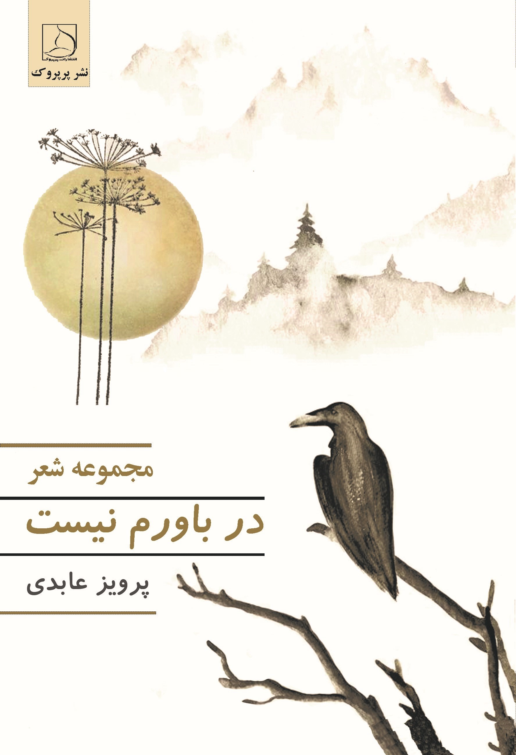 تصویر جلد کتاب در باورم نیست