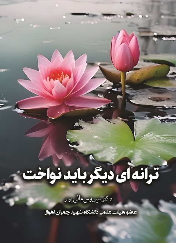 تصویر جلد کتاب ترانه ای دیگر باید نواخت