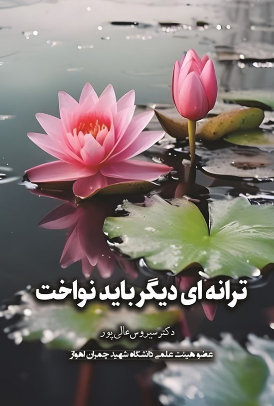 تصویر جلد کتاب ترانه ای دیگر باید نواخت