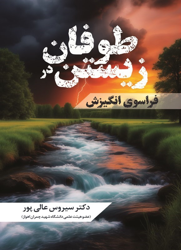تصویر جلد کتاب زیستن در طوفان
