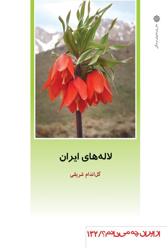تصویر جلد کتاب لاله های ایران