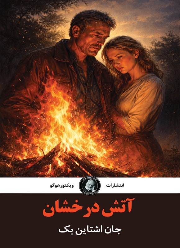 تصویر جلد کتاب آتش درخشان
