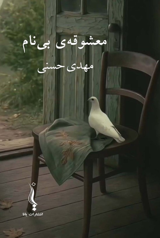 تصویر جلد کتاب معشوقه بی نام