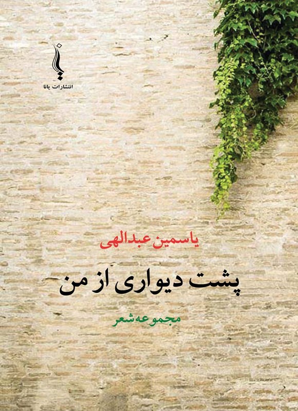 تصویر جلد کتاب پشت دیواری از من