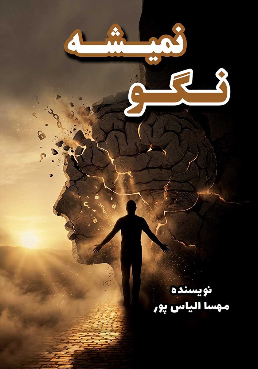تصویر جلد کتاب نگو نمیشه