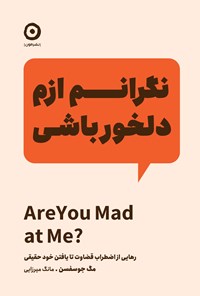 تصویر جلد کتاب نگرانم ازم دلخور باشی