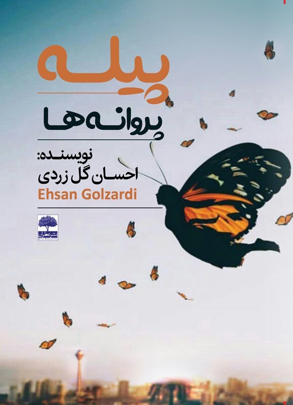تصویر جلد کتاب پیله پروانه ها