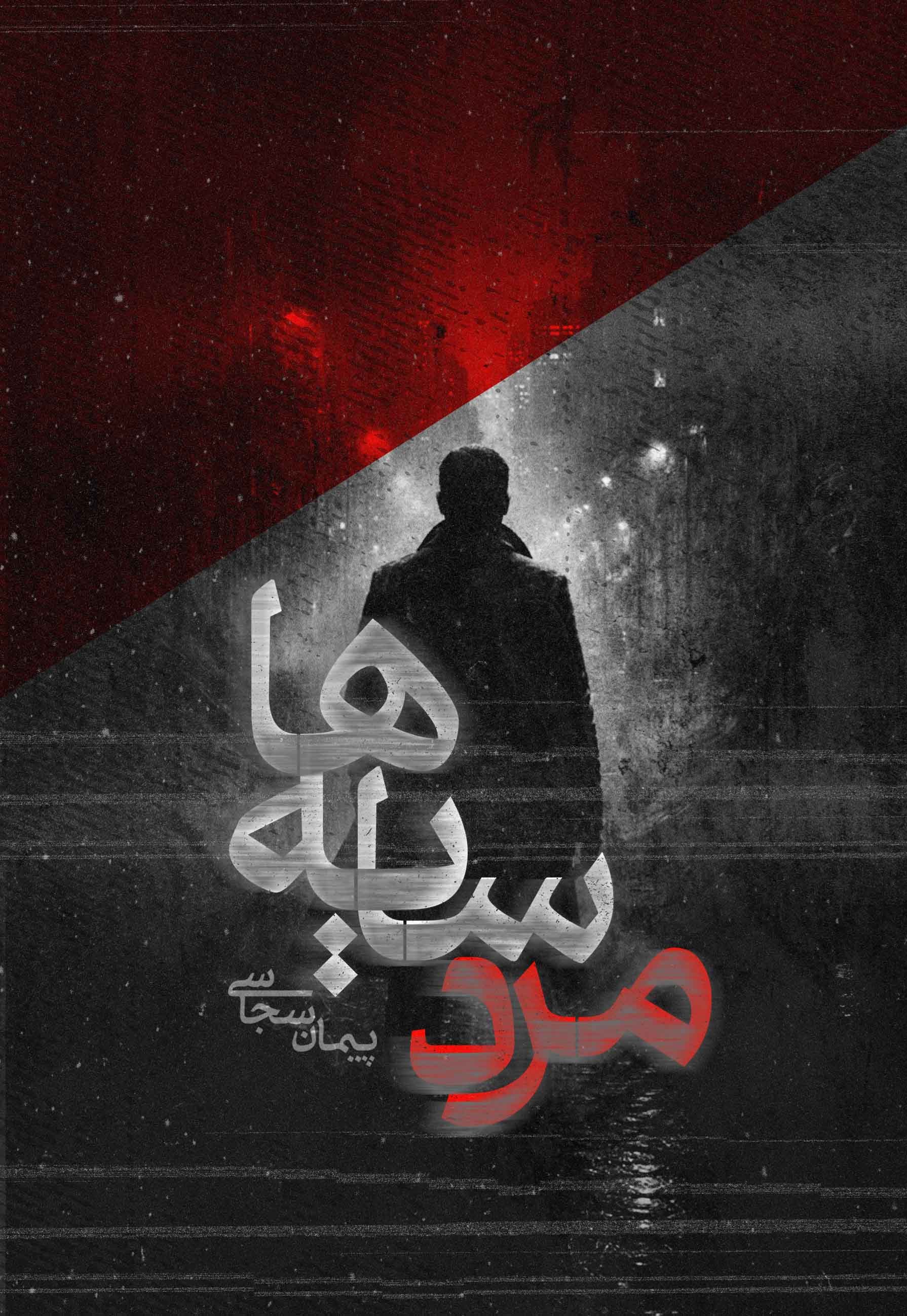 تصویر جلد کتاب مرد سایه ها