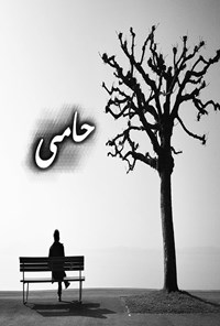 تصویر جلد کتاب حامی