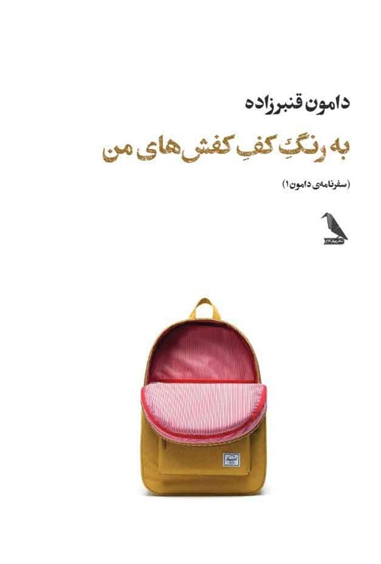 تصویر جلد کتاب به رنگ کف کفش های من