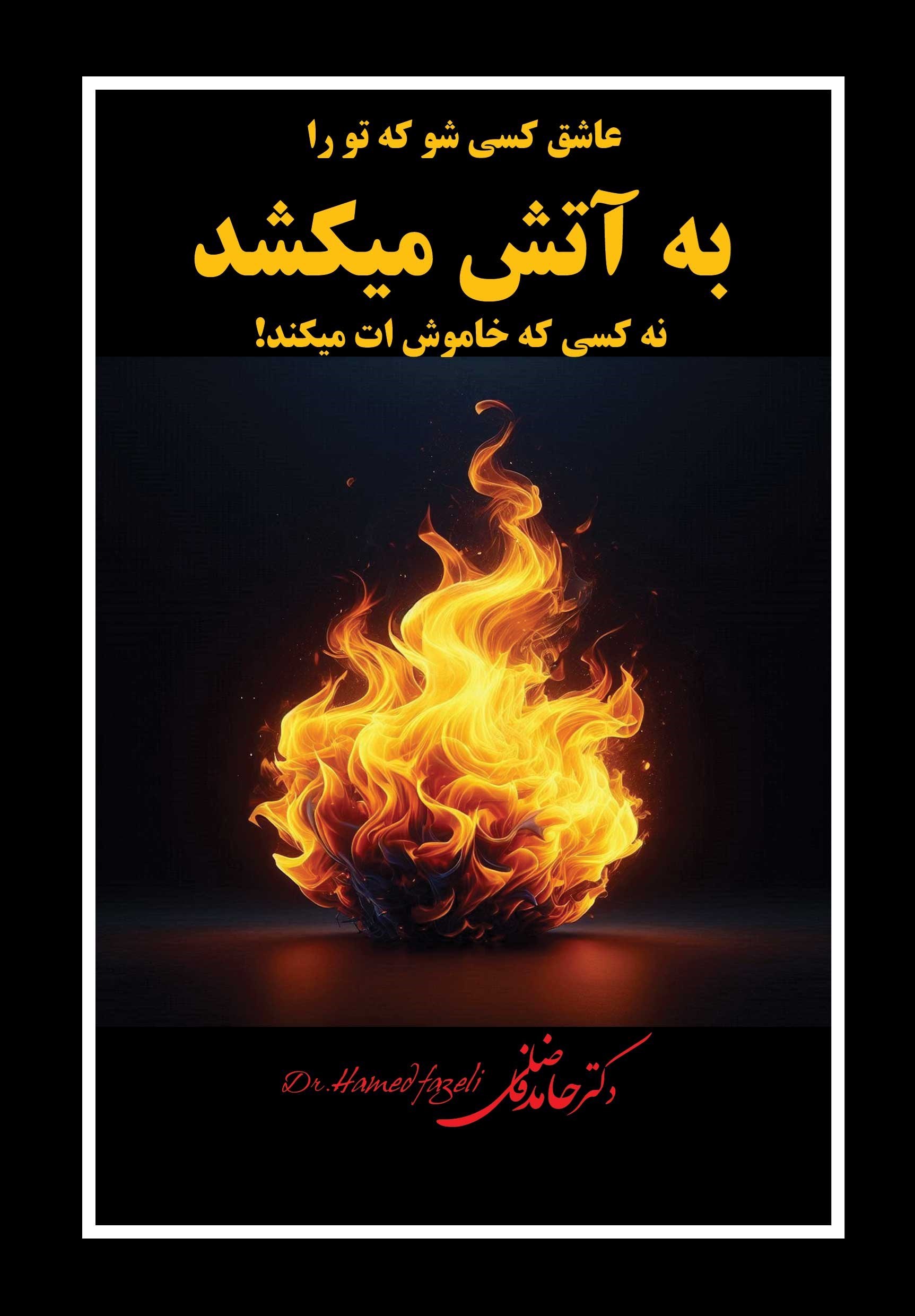 تصویر جلد کتاب عاشق کسی شو که تو را به آتش می کشد نه کسی که خاموش ات می کند