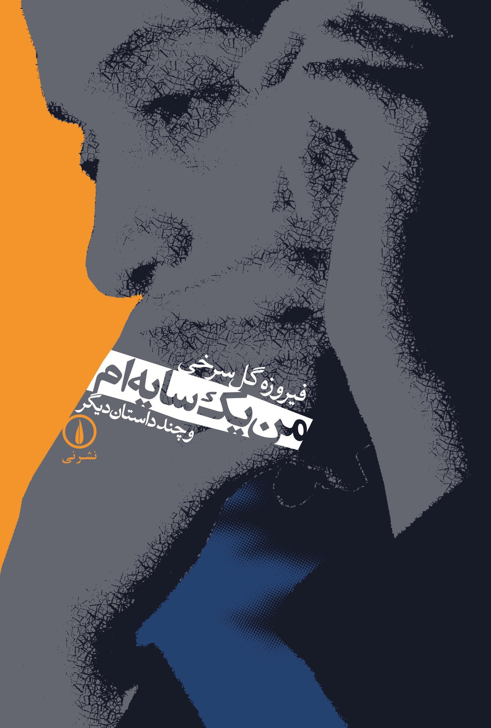 تصویر جلد کتاب من یک سایه ام