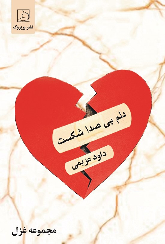 تصویر جلد کتاب دلم بی صدا شکست