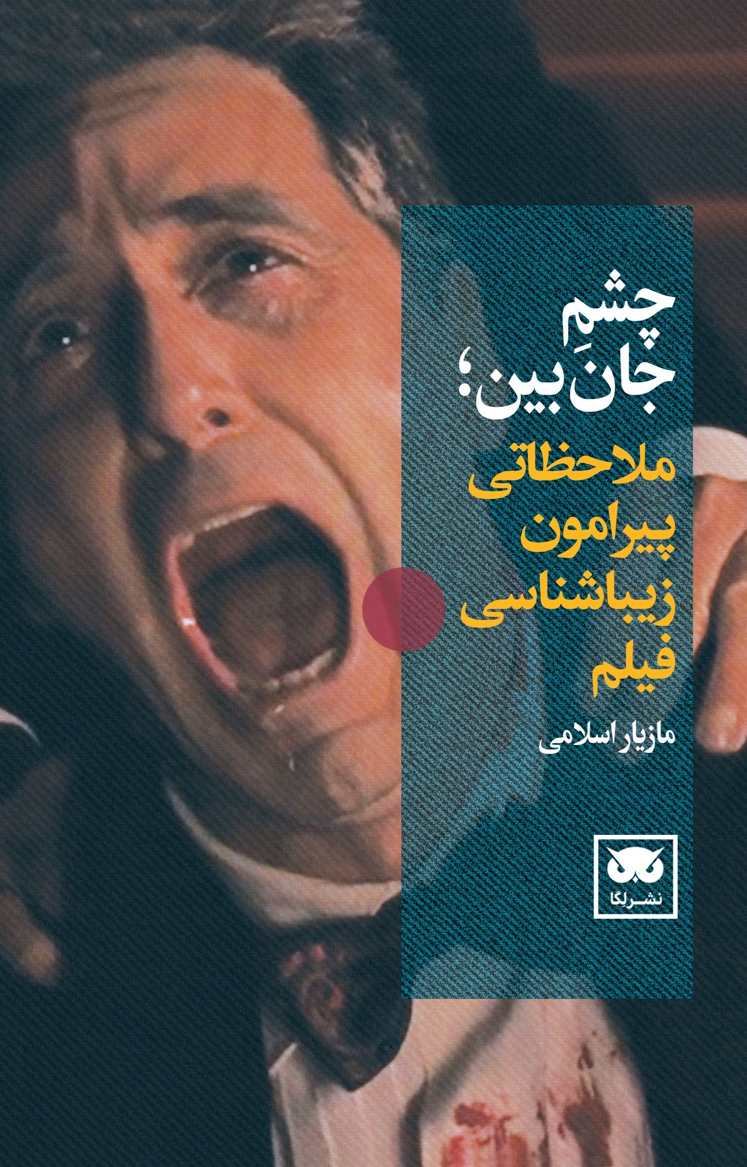 تصویر جلد کتاب چشم‌ جان بین