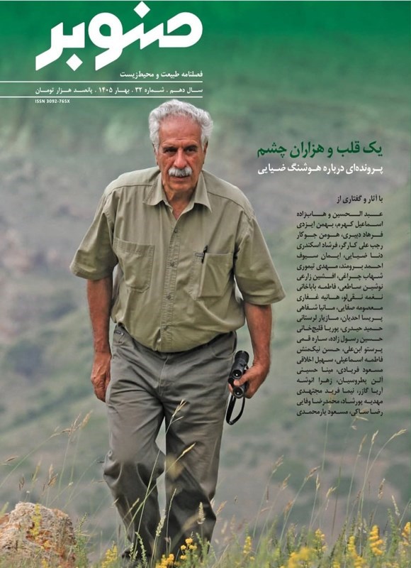 تصویر جلد کتاب فصلنامه صنوبر ـ شماره ۳۲ ـ بهار ۱۴۰۵