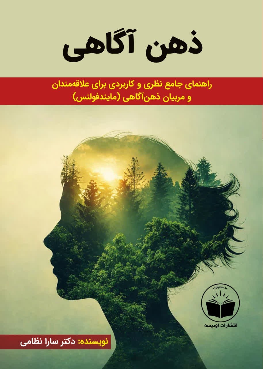 تصویر جلد کتاب ذهن آگاهی 