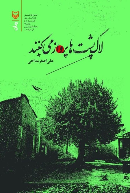 تصویر جلد کتاب لاک پشت ها پرواز می کنند