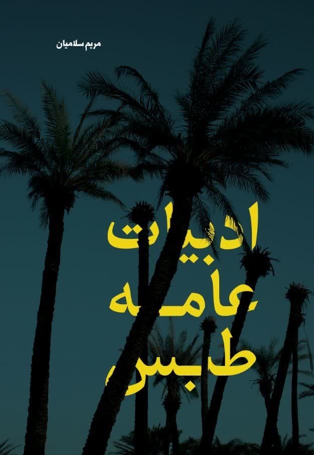 تصویر جلد کتاب ادبیات عامه طبس