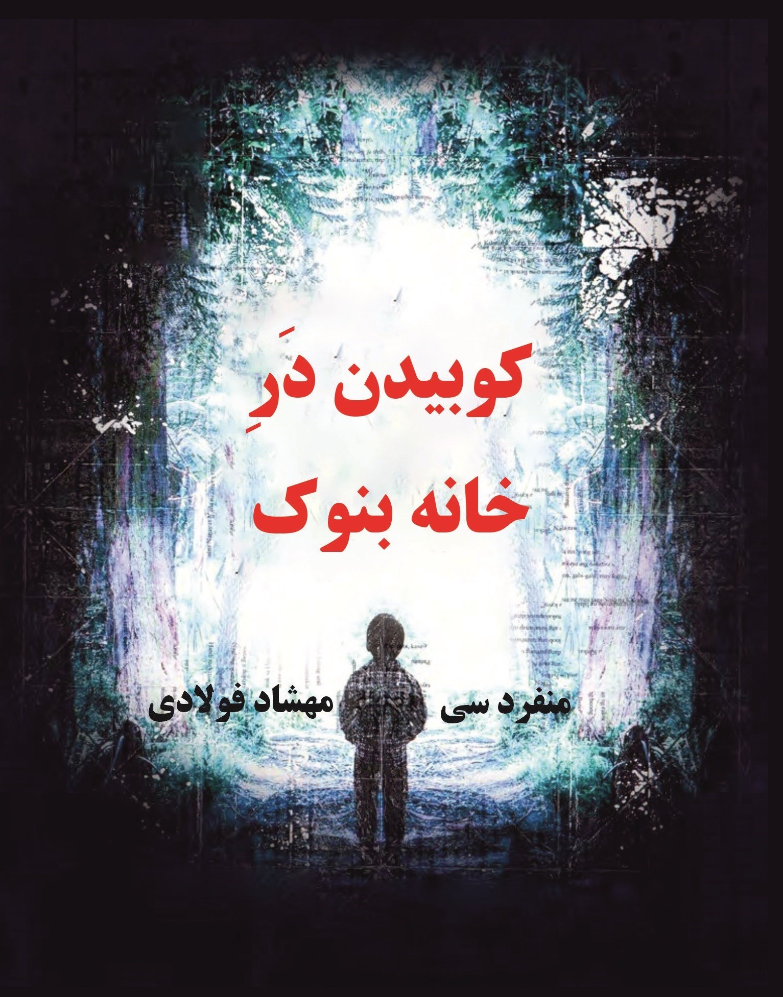 تصویر جلد کتاب کوبیدن در خانه بنوک