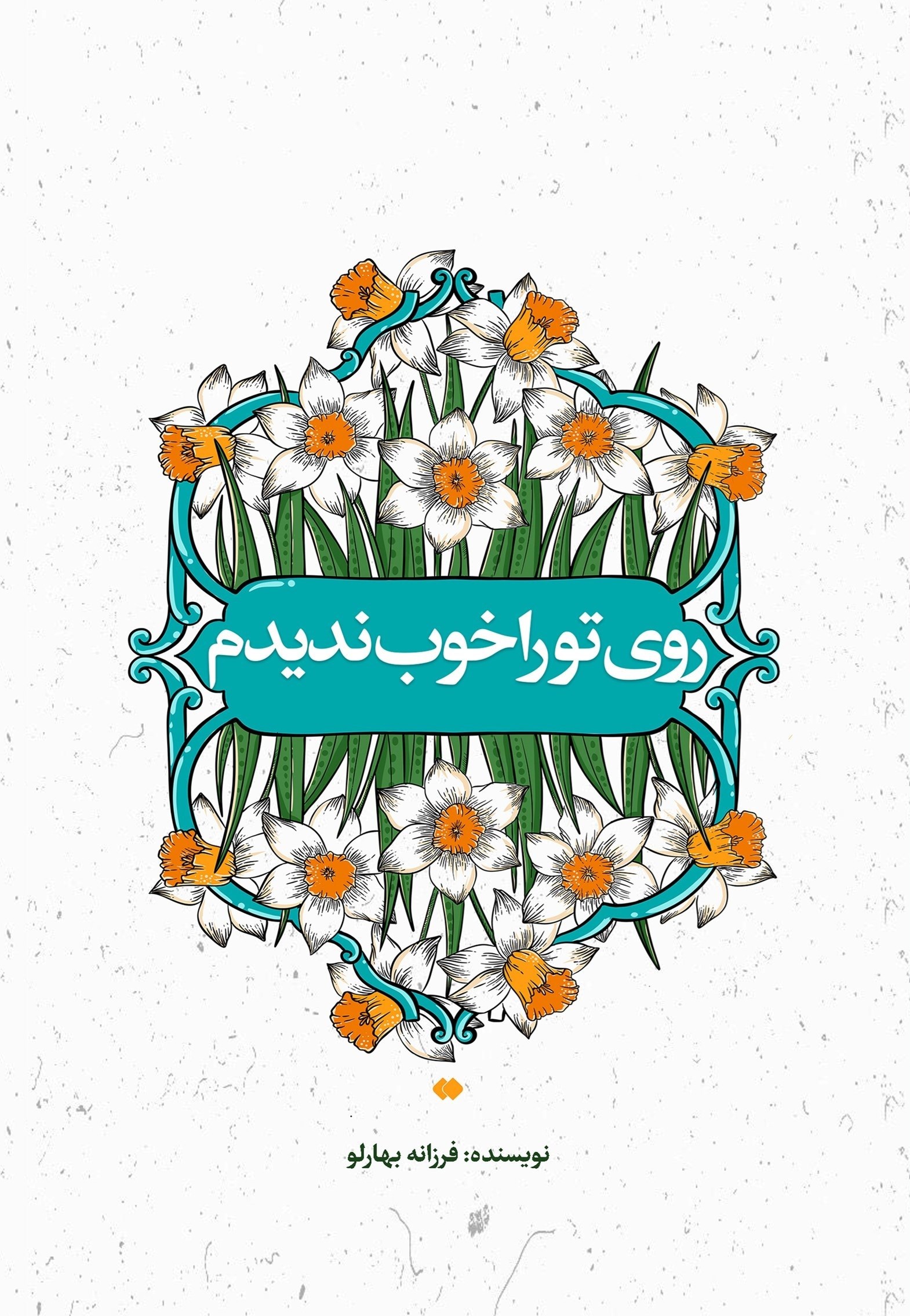 تصویر جلد کتاب روی تو را خوب ندیدم