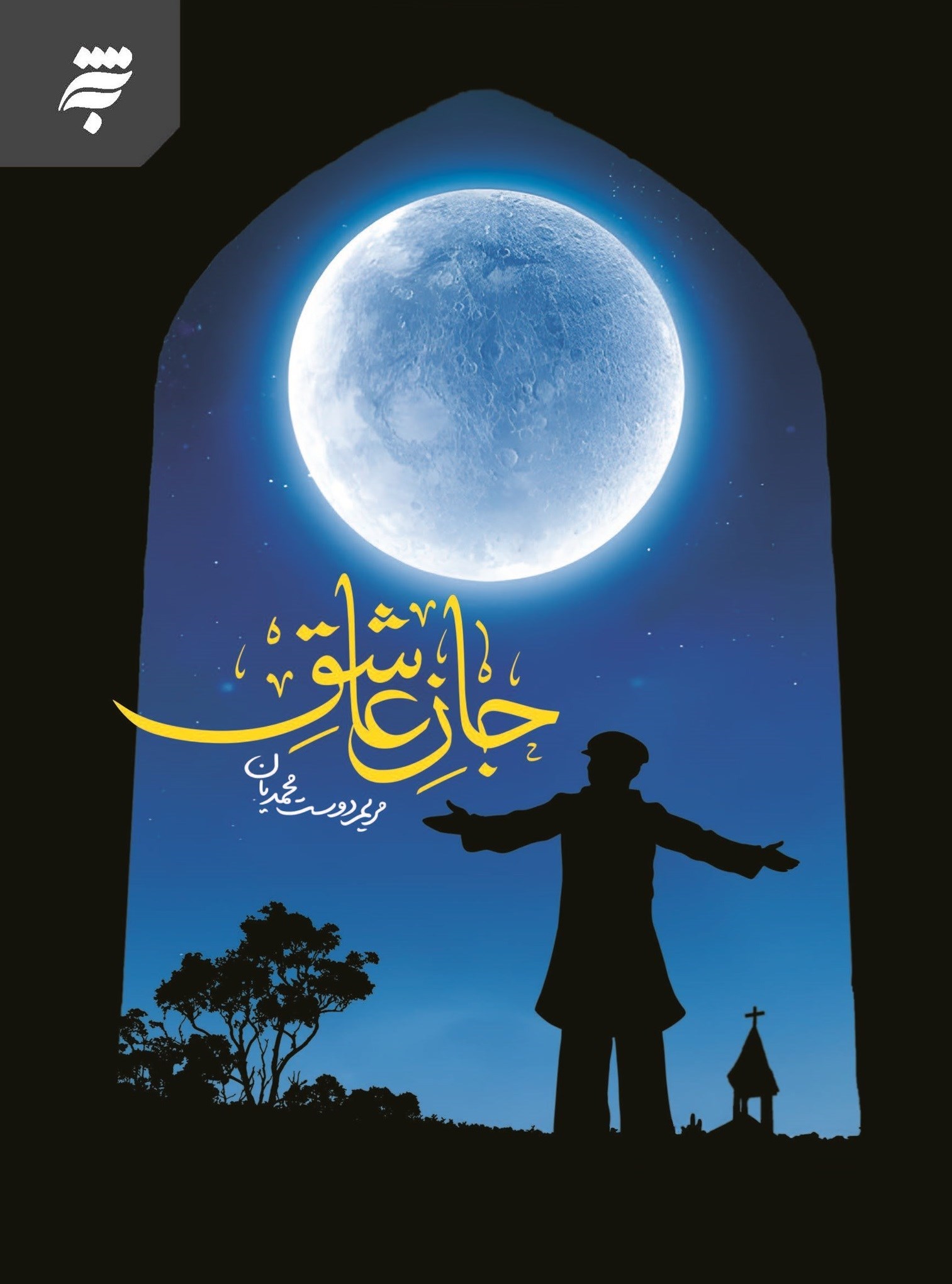 تصویر جلد کتاب جان عاشق