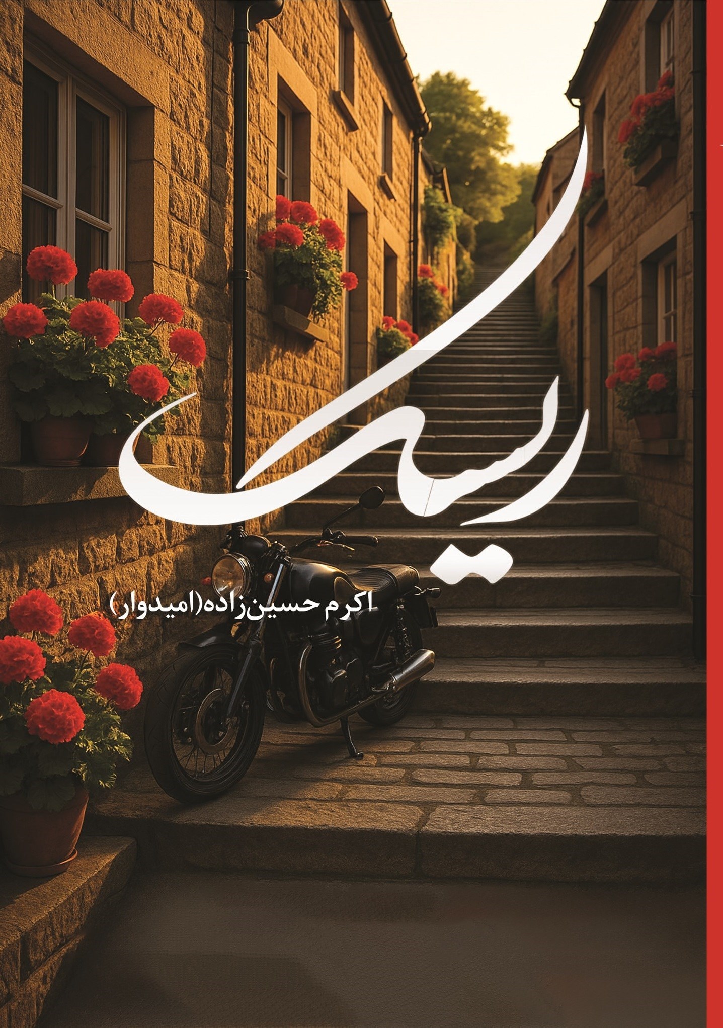 تصویر جلد کتاب ریسک