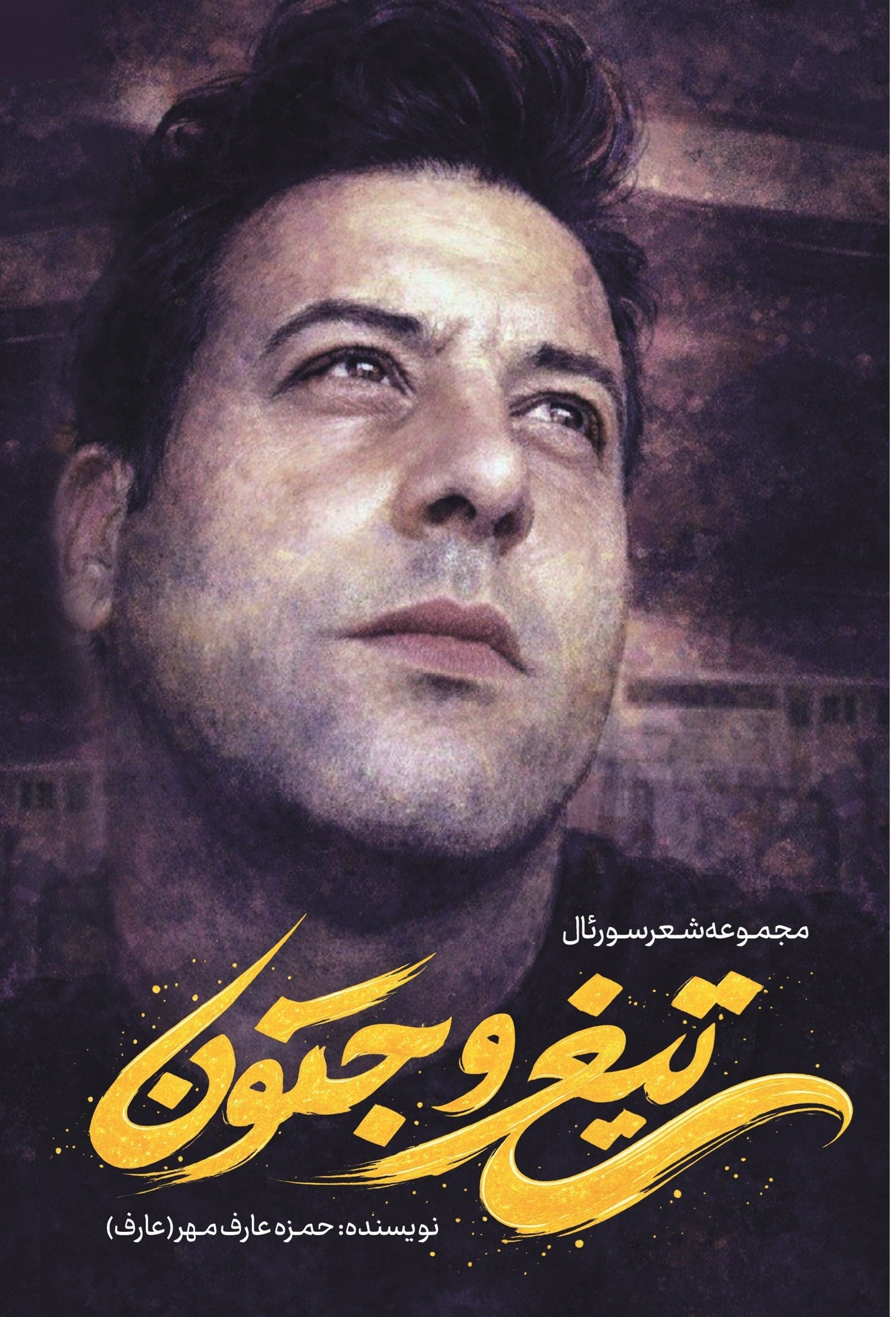 تصویر جلد کتاب تیغ و جنون