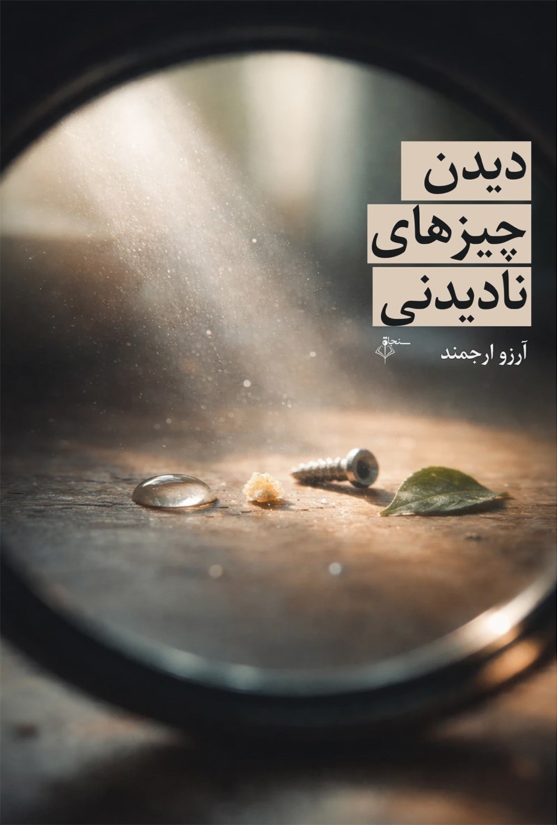 تصویر جلد کتاب دیدن چیزهای نادیدنی