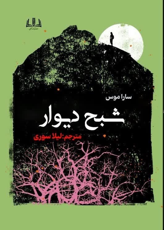 تصویر جلد کتاب شبح دیوار