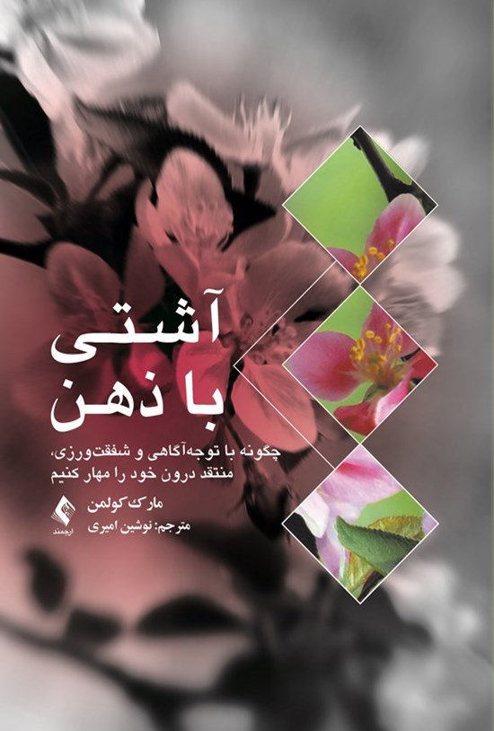 تصویر جلد کتاب آشتی با ذهن
