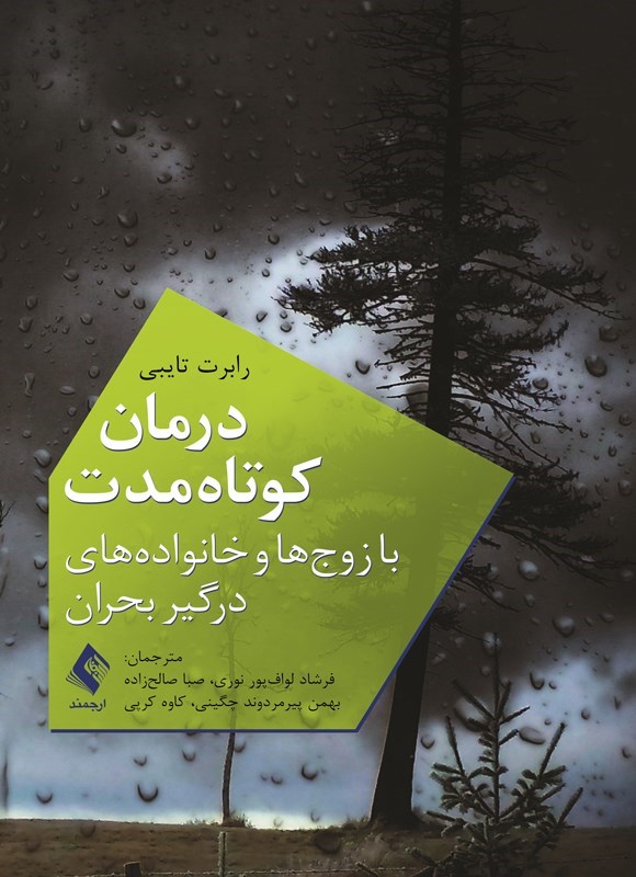 تصویر جلد کتاب درمان کوتاه مدت با زوج ها و خانواده های درگیر بحران